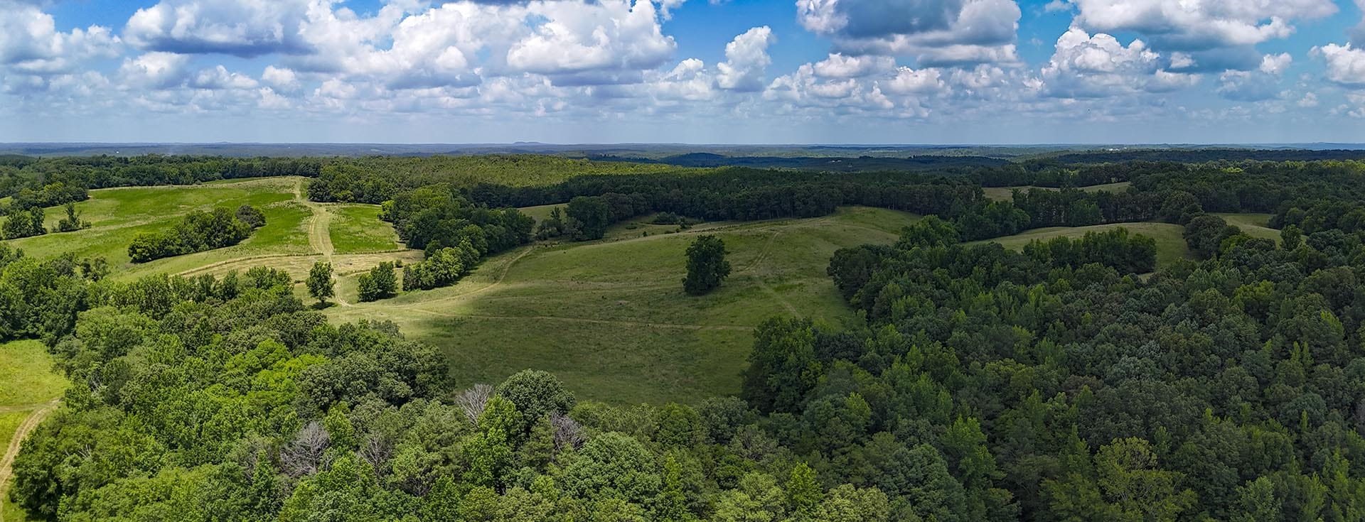 Aerial view of green meadows and dense forests under a bright, partly cloudy sky.