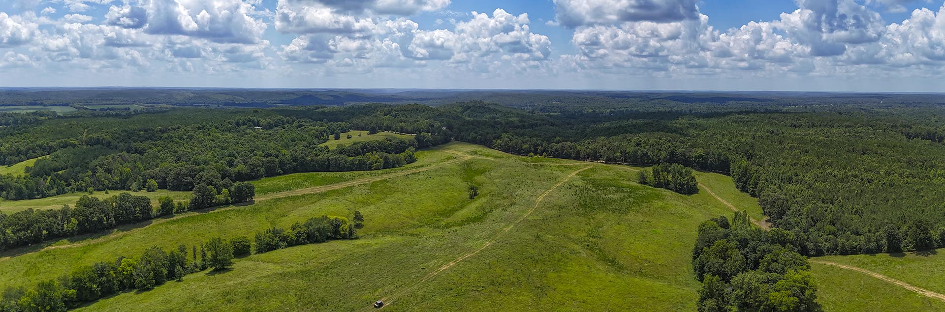 Aerial view of rolling green hills, meadows, and dense forest under a blue sky with fluffy clouds.