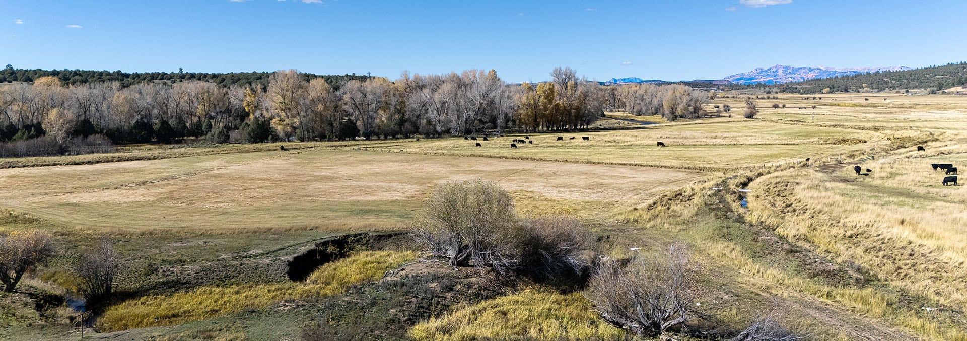 new mexico property for sale el barranco on the chama