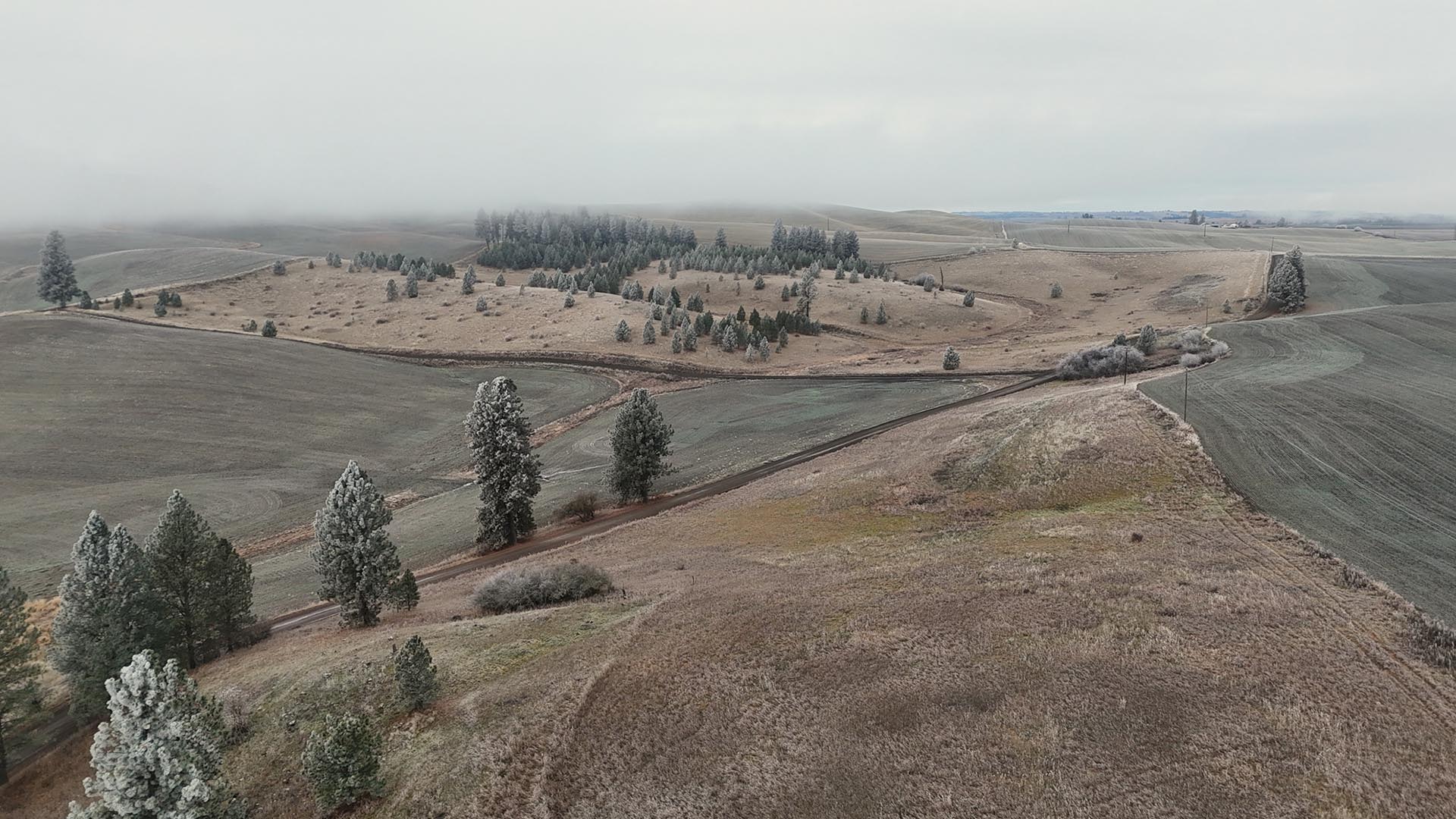 palouse region idaho nez perce prairie