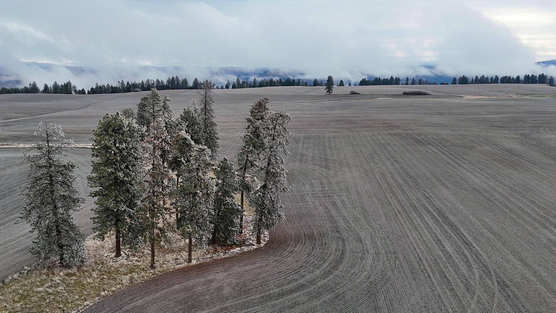 peaceful farm idaho nez perce prairie