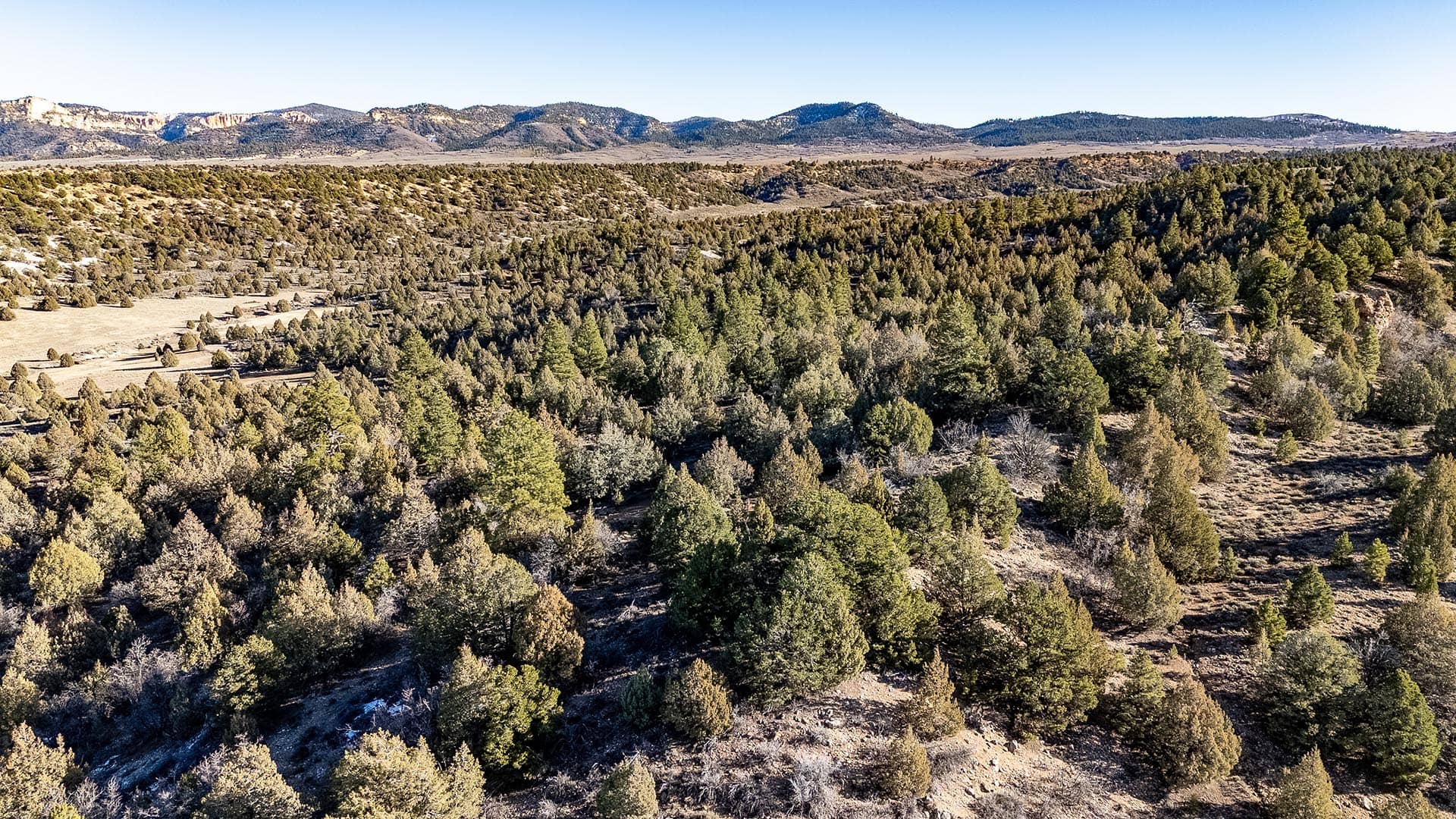 ranch for sale with pond utah juniper hollow ranch