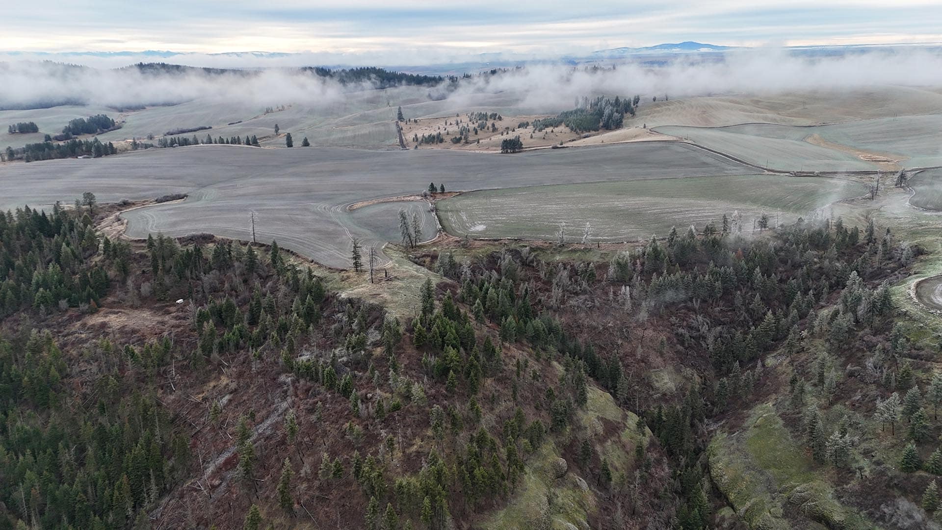 rich soil idaho nez perce prairie