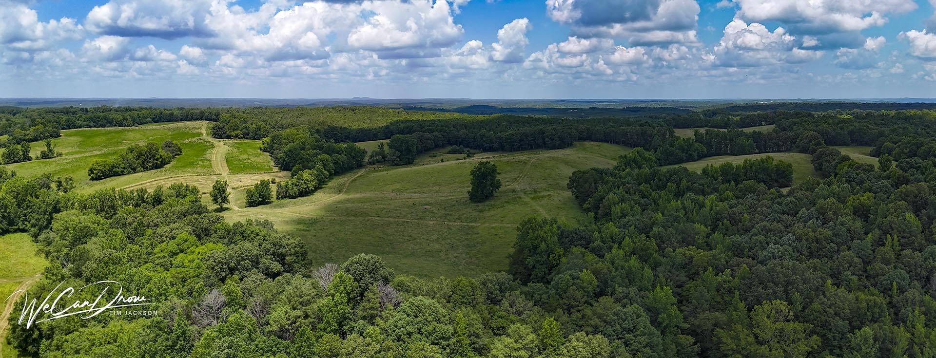 Aerial view of green fields and dense forests under a blue sky with fluffy clouds.