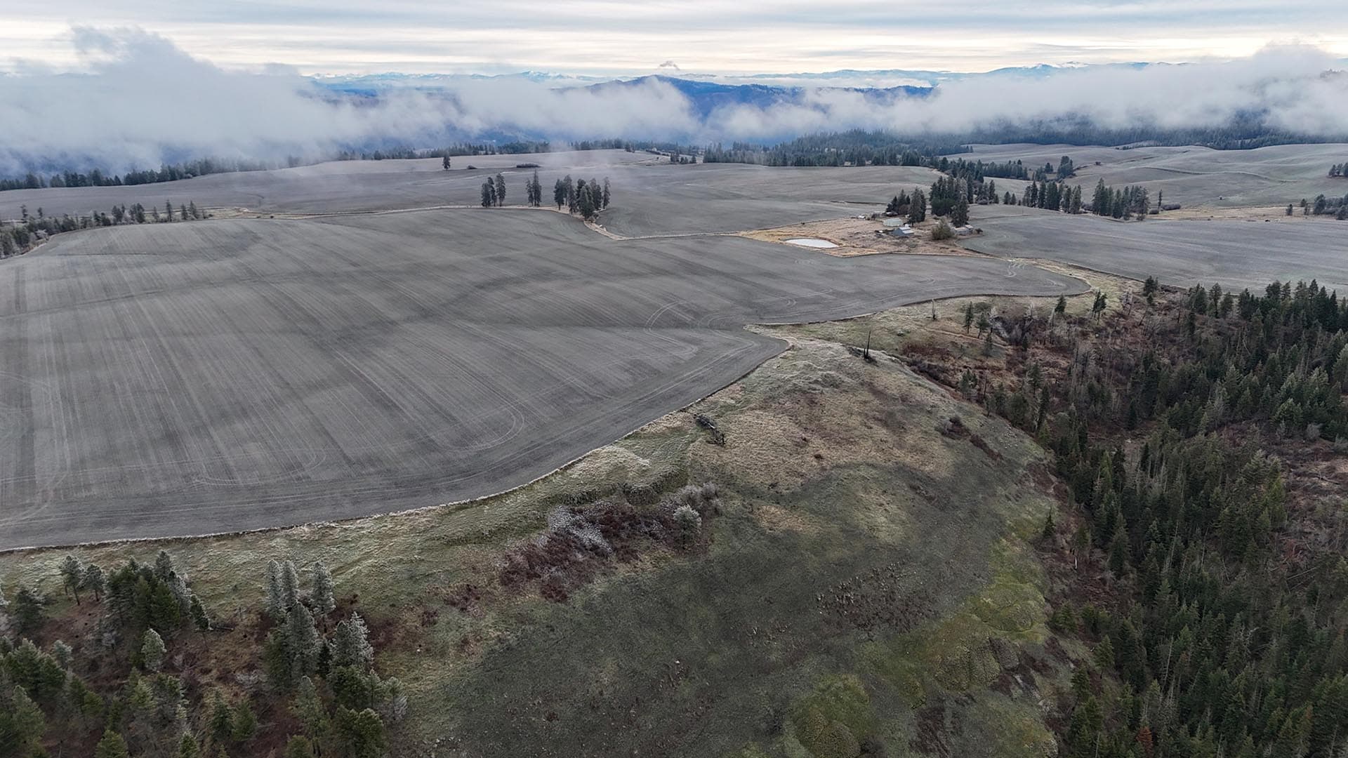 scenic idaho nez perce prairie