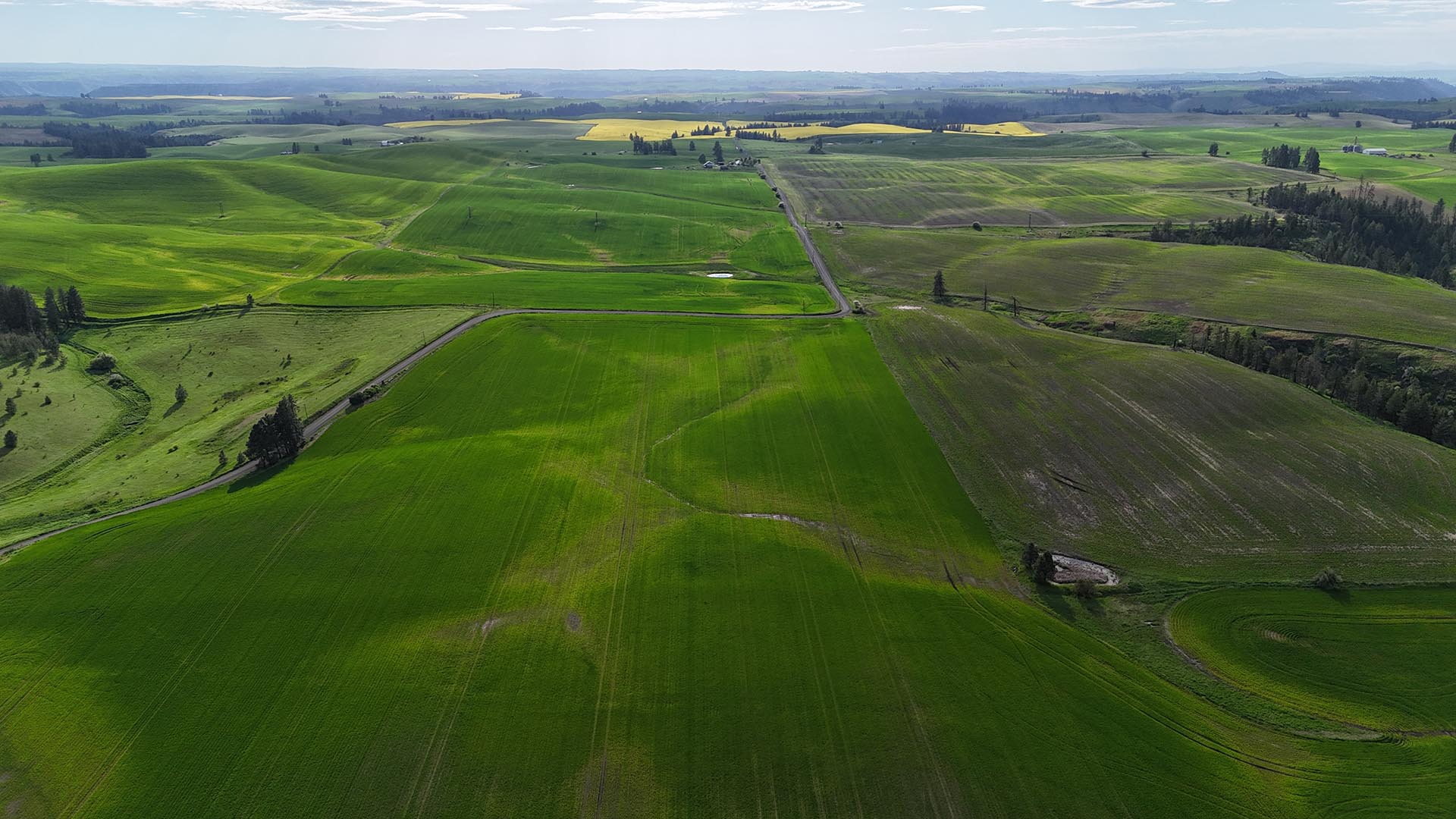 spacious idaho open nez perce prairie