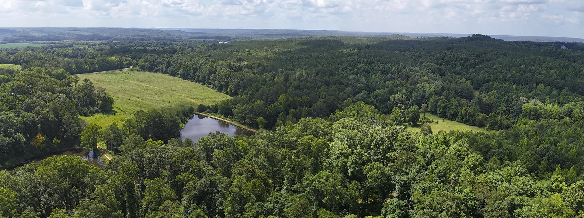 Panoramic aerial view of a forest with a small pond and open grassy fields under a cloudy sky.