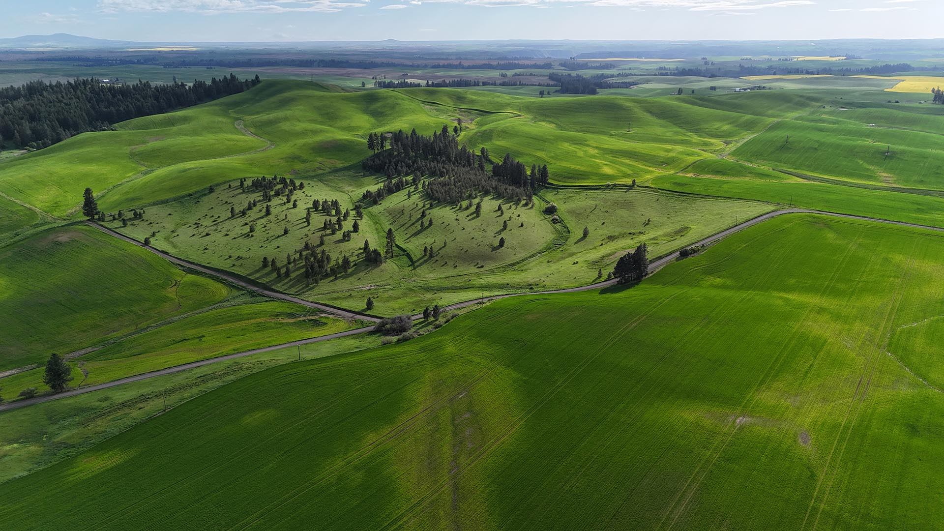 wheat production idaho grow food nez perce prairie