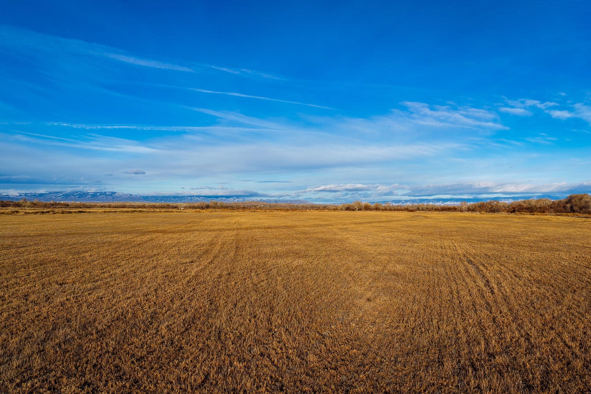 agriculture wyoming shoshone valley versatility land