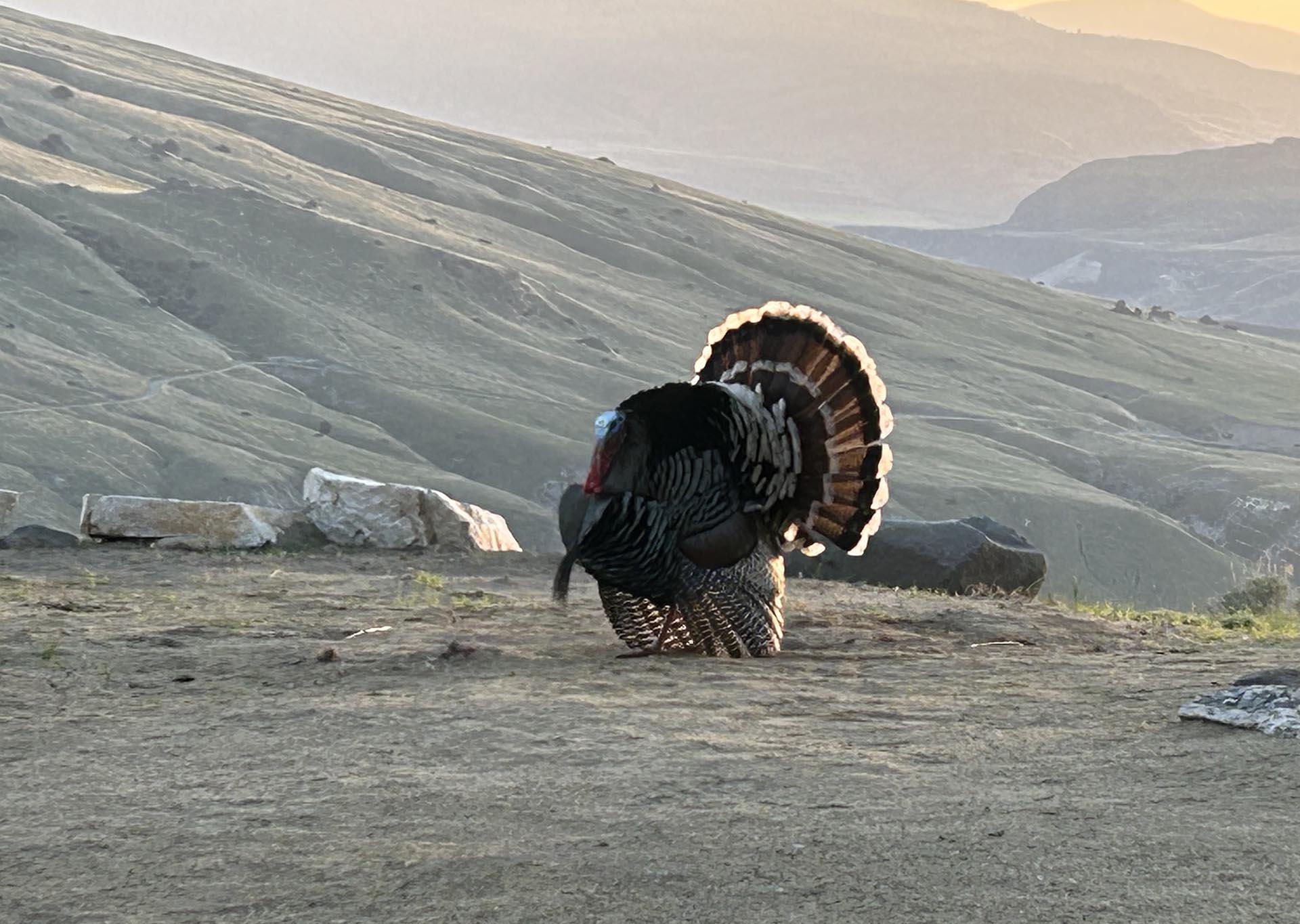 Big Tom Washington Rilette Springs on the Columbia