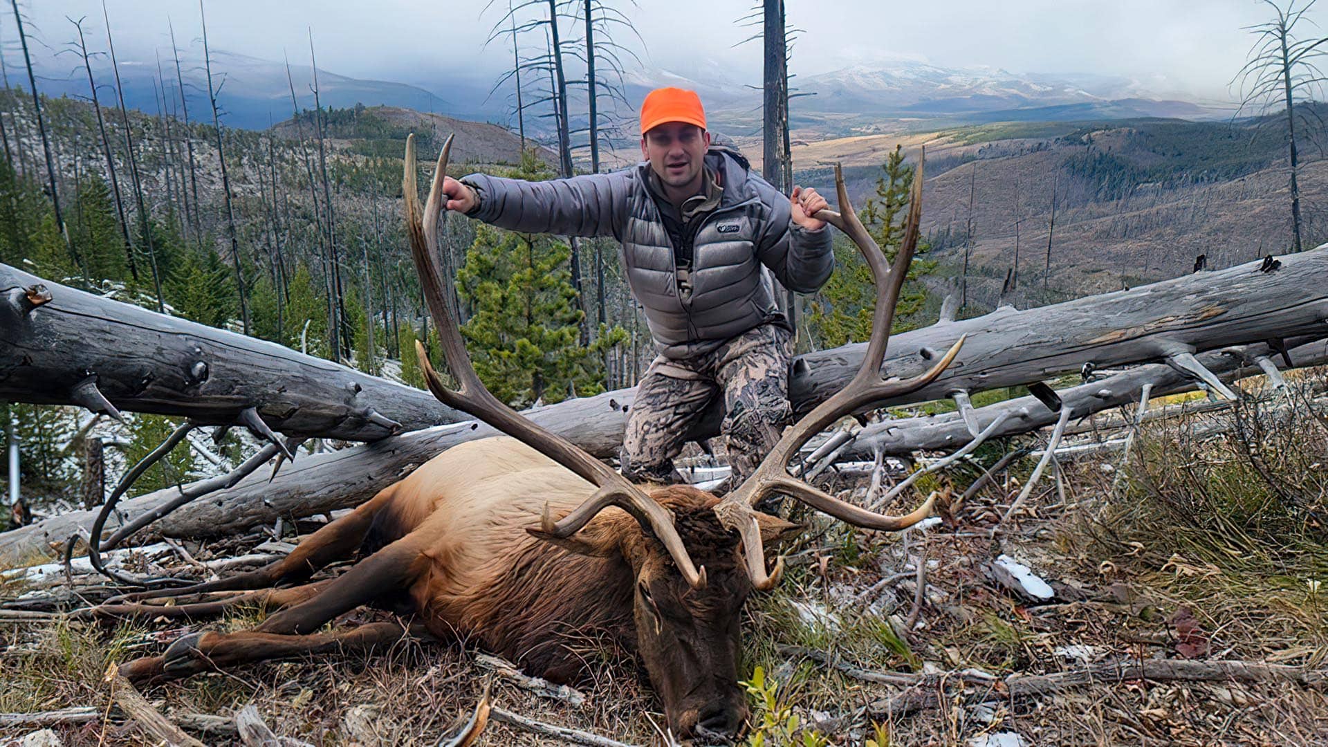 Elk Harvest Montana Sun Canyon Lodge