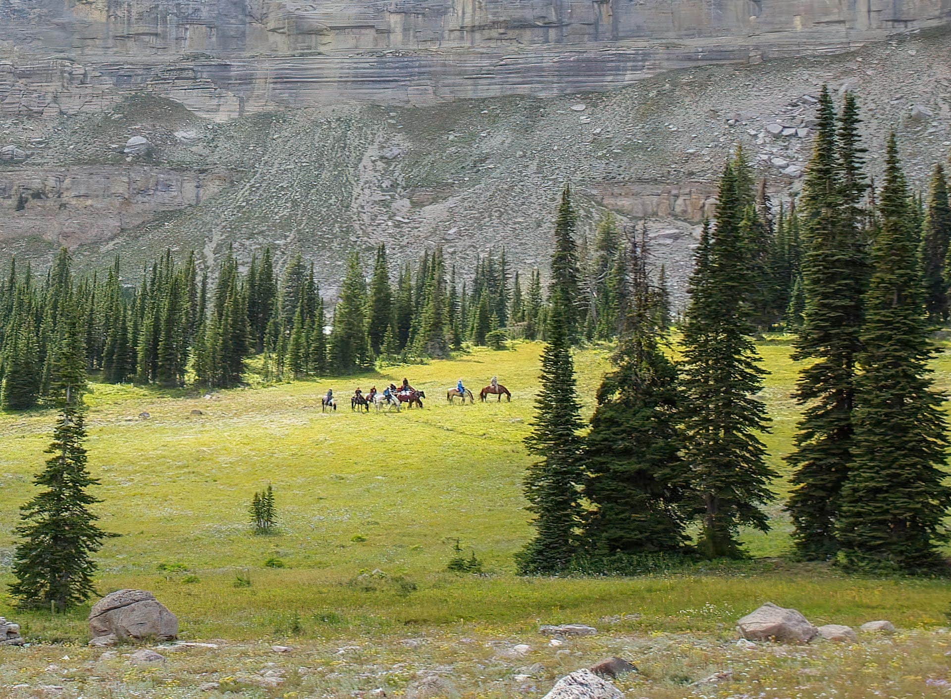 Grazing Montana Sun Canyon Lodge