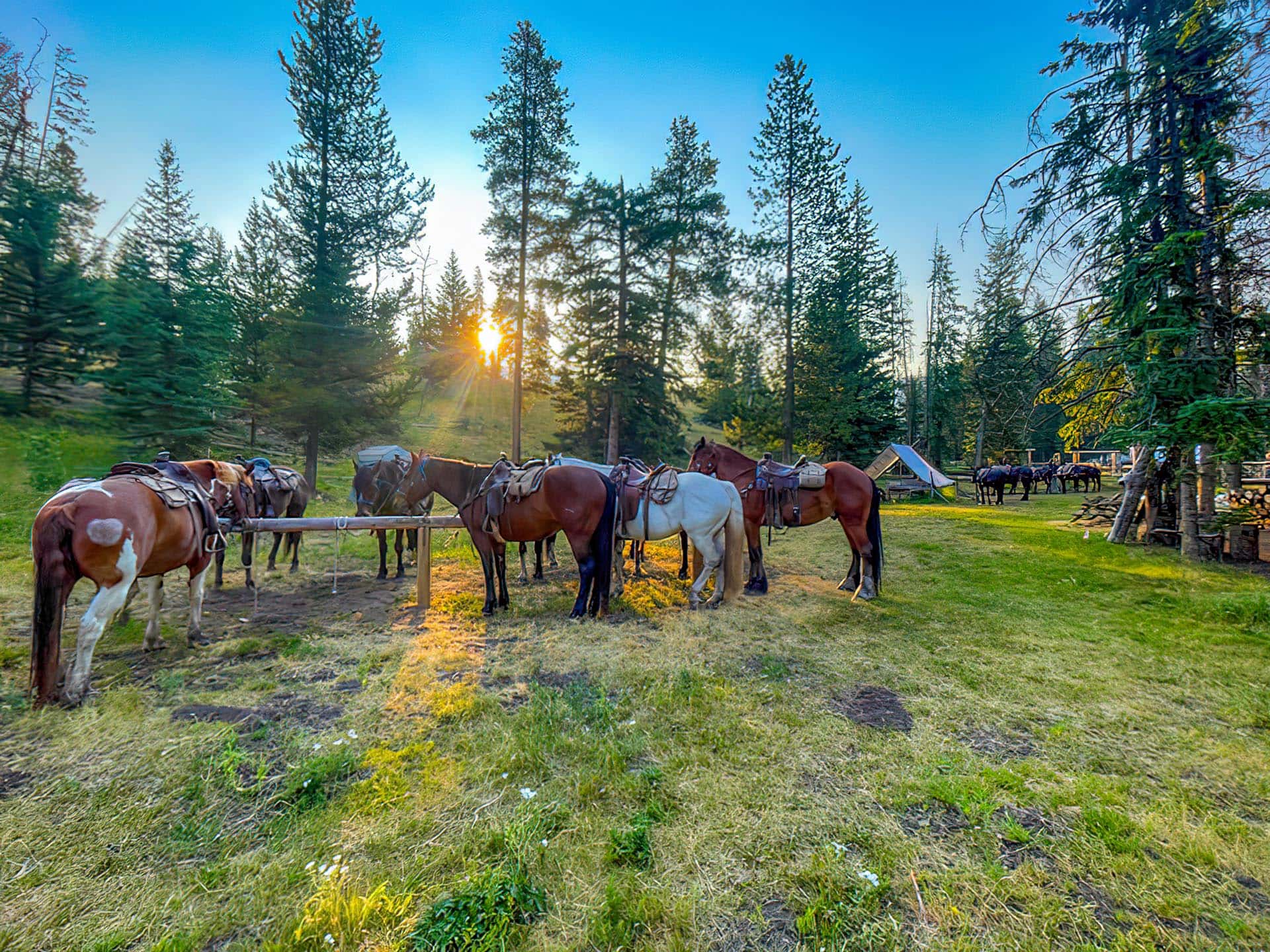 Hitching Post Montana Sun Canyon Lodge