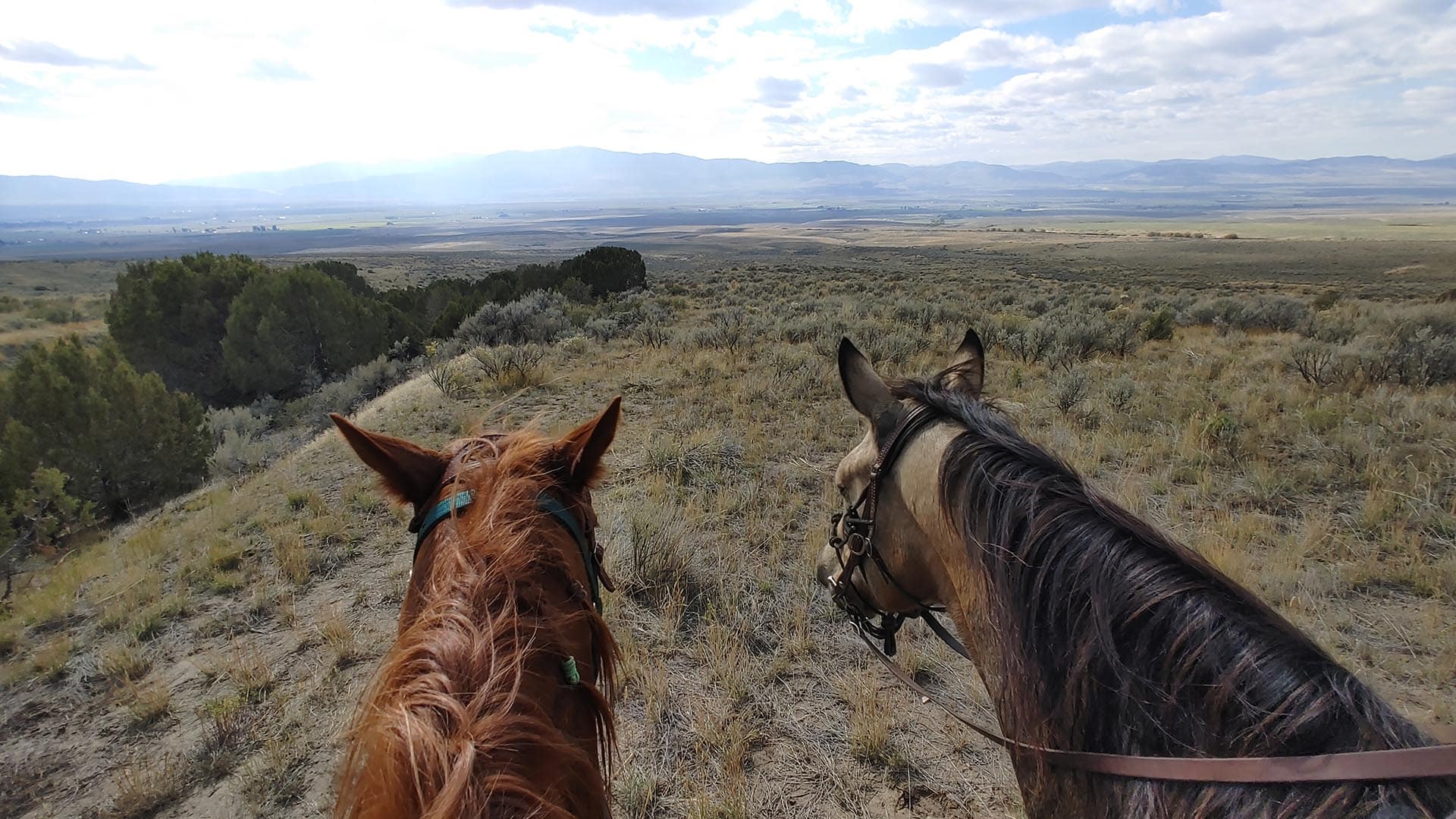 Horseback Idaho Flying H Ranch
