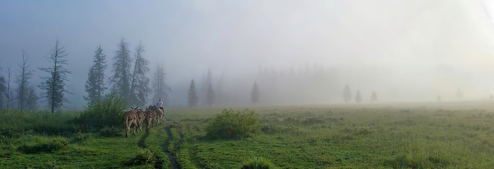Misty Morning Montana Sun Canyon Lodge