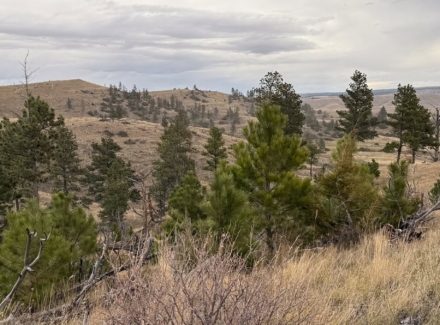 Montana ranches for sale Brumfield Ridge Ranch