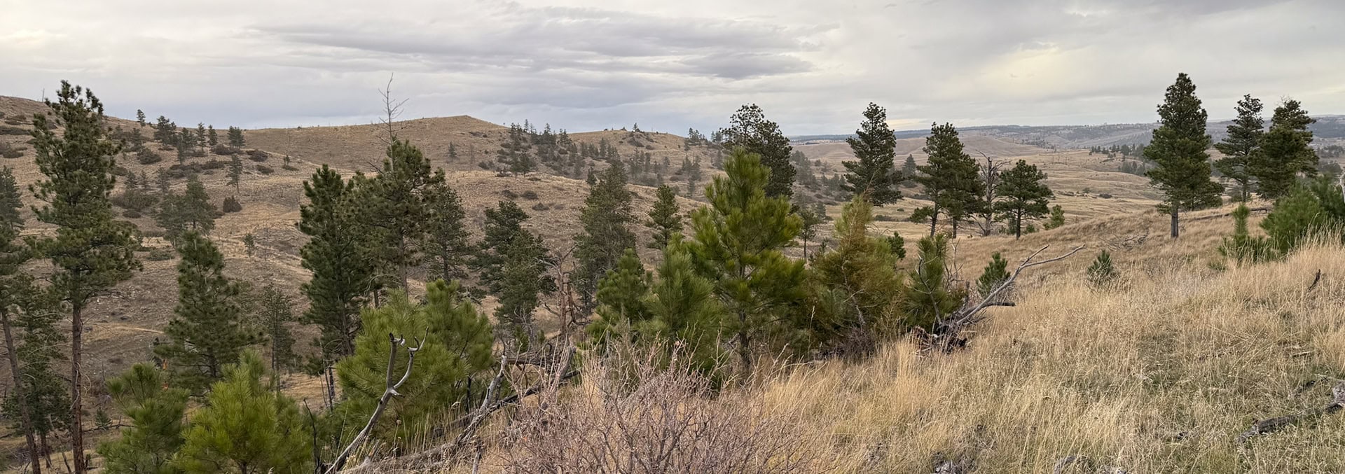 Montana ranches for sale Brumfield Ridge Ranch