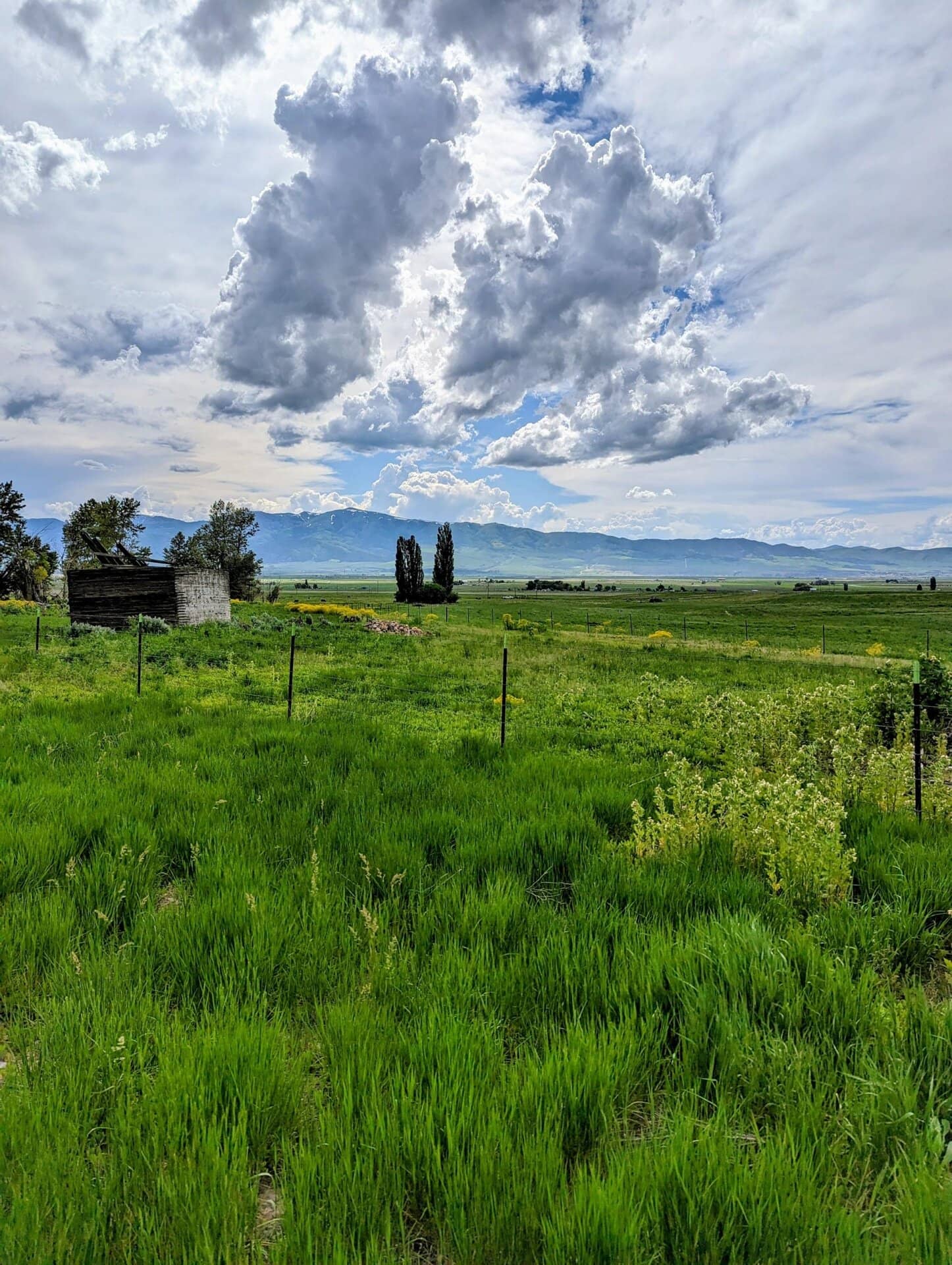 Mountain Views Idaho Flying H Ranch
