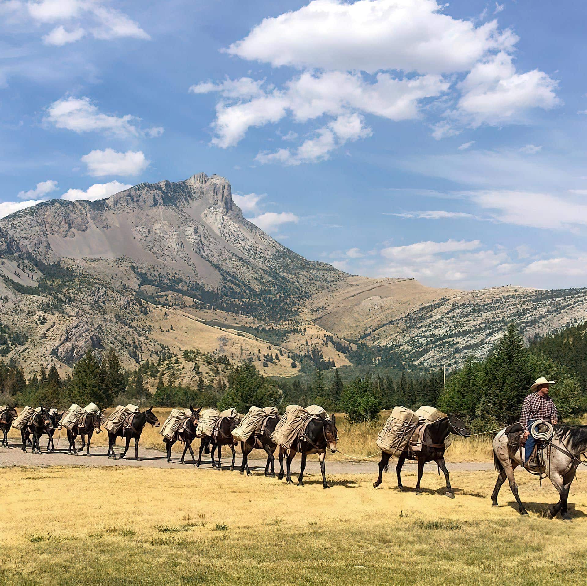 Pack String Mountains Montana Sun Canyon Lodge