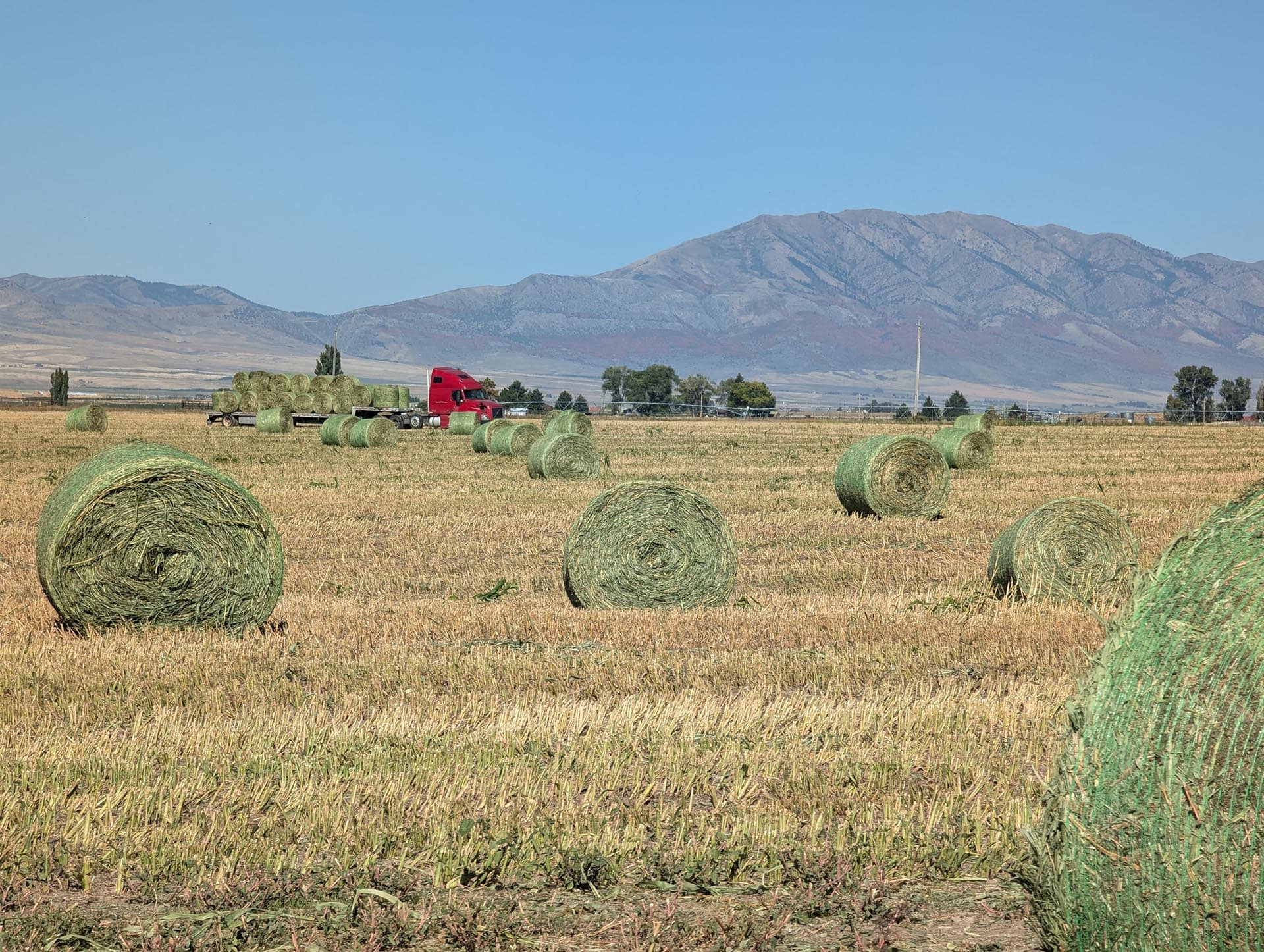 Round Hay Bales Idaho Flying H Ranch