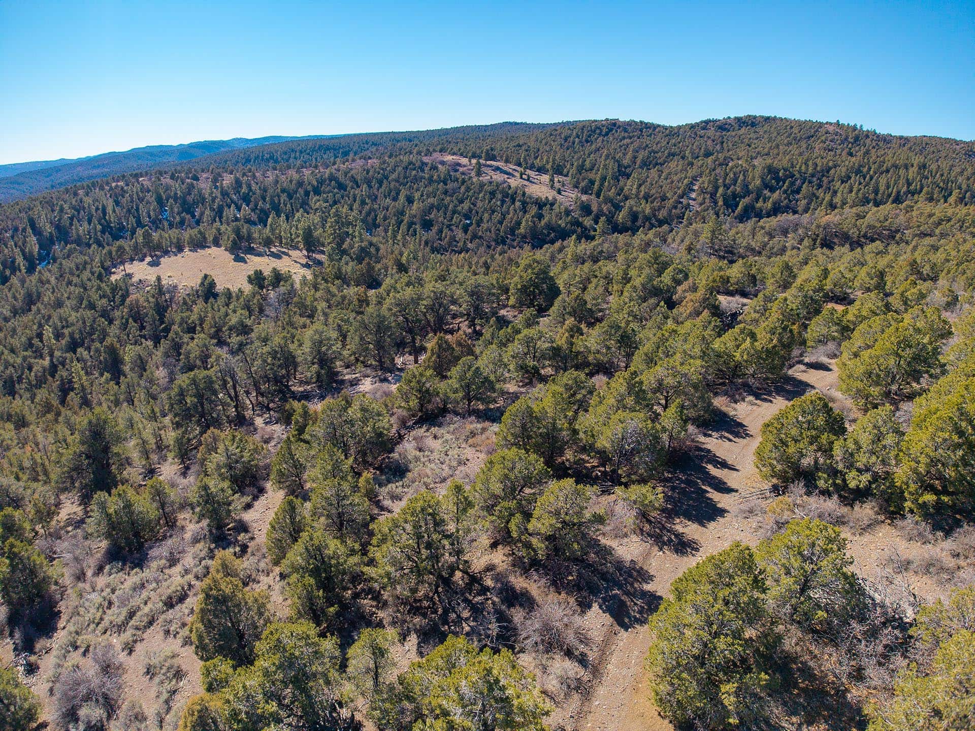 aerial forest hunting property utah mammoth ridge muleys