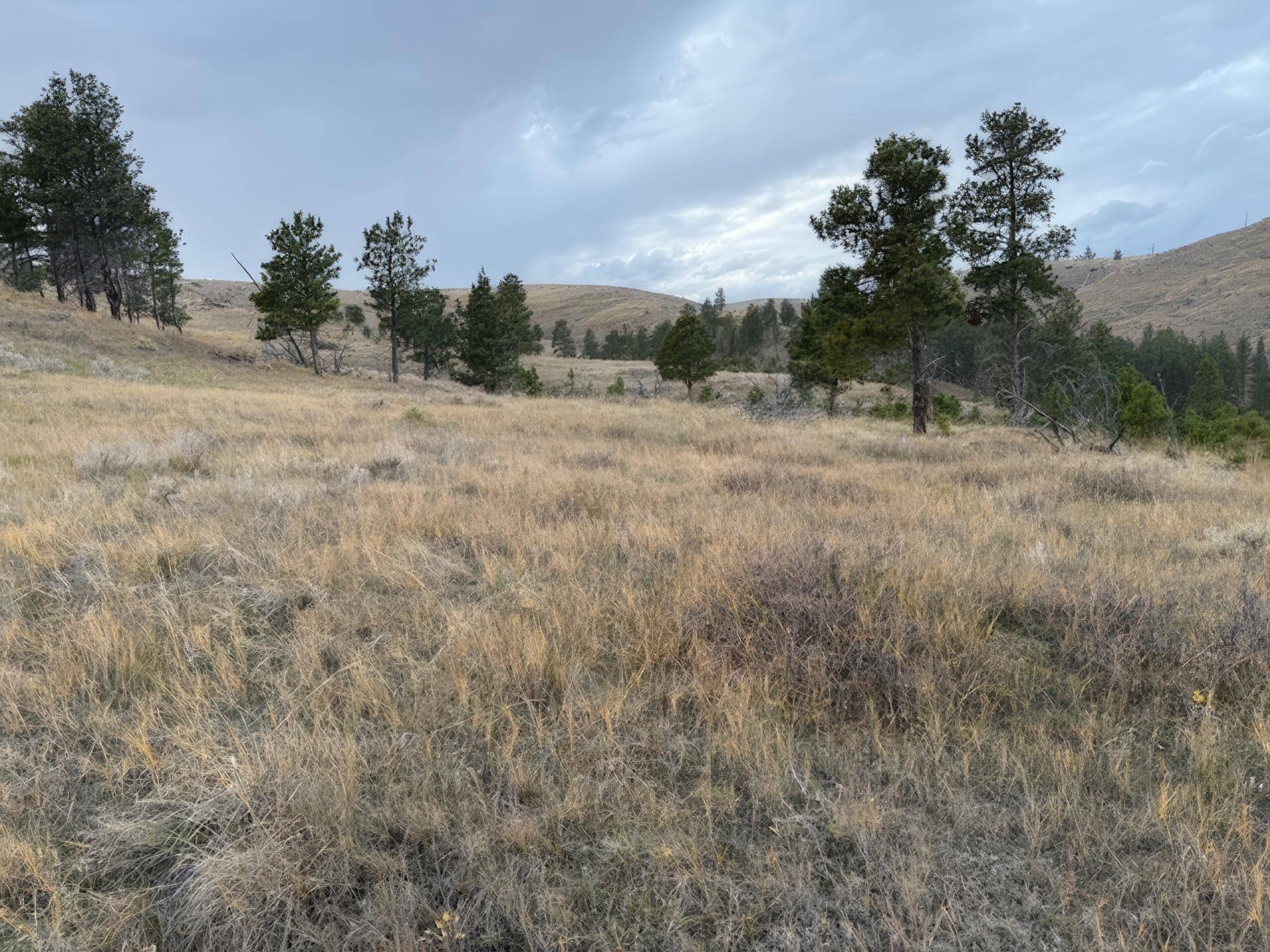 brandon coulee Montana Brumfield Ridge Ranch