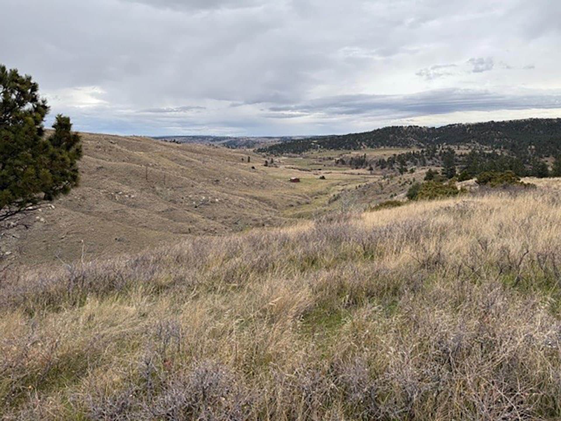 burt hill and shop Montana Brumfield Ridge Ranch