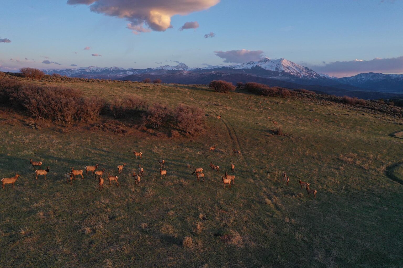 Roaring Fork Valley Ranch | Carbondale Colorado | Fay Ranches