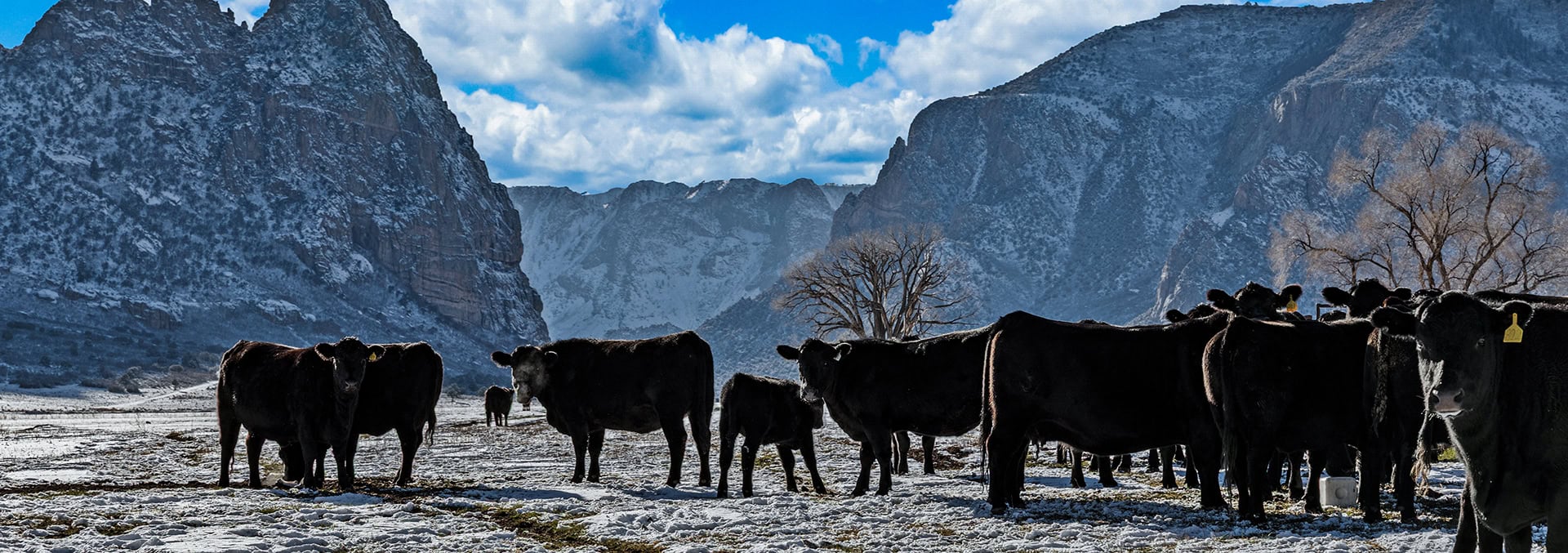 colorado property for sale Fall Creek Ranch