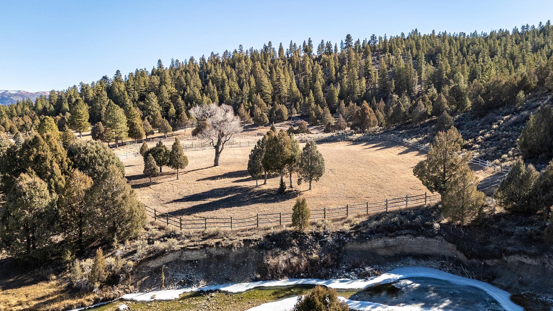 creek bottom habitat utah mammoth ridge muleys