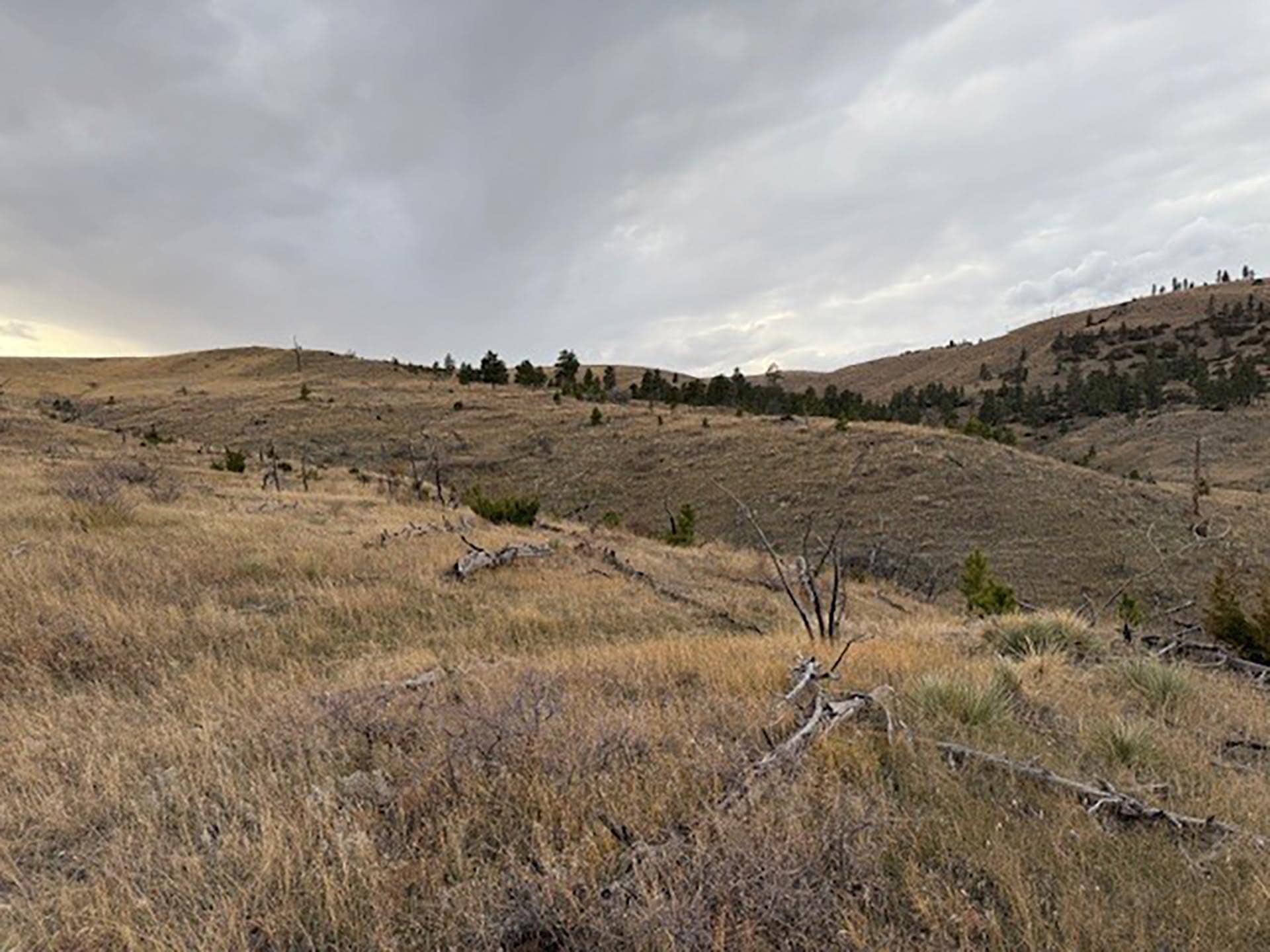 deadfall hills Montana Brumfield Ridge Ranch