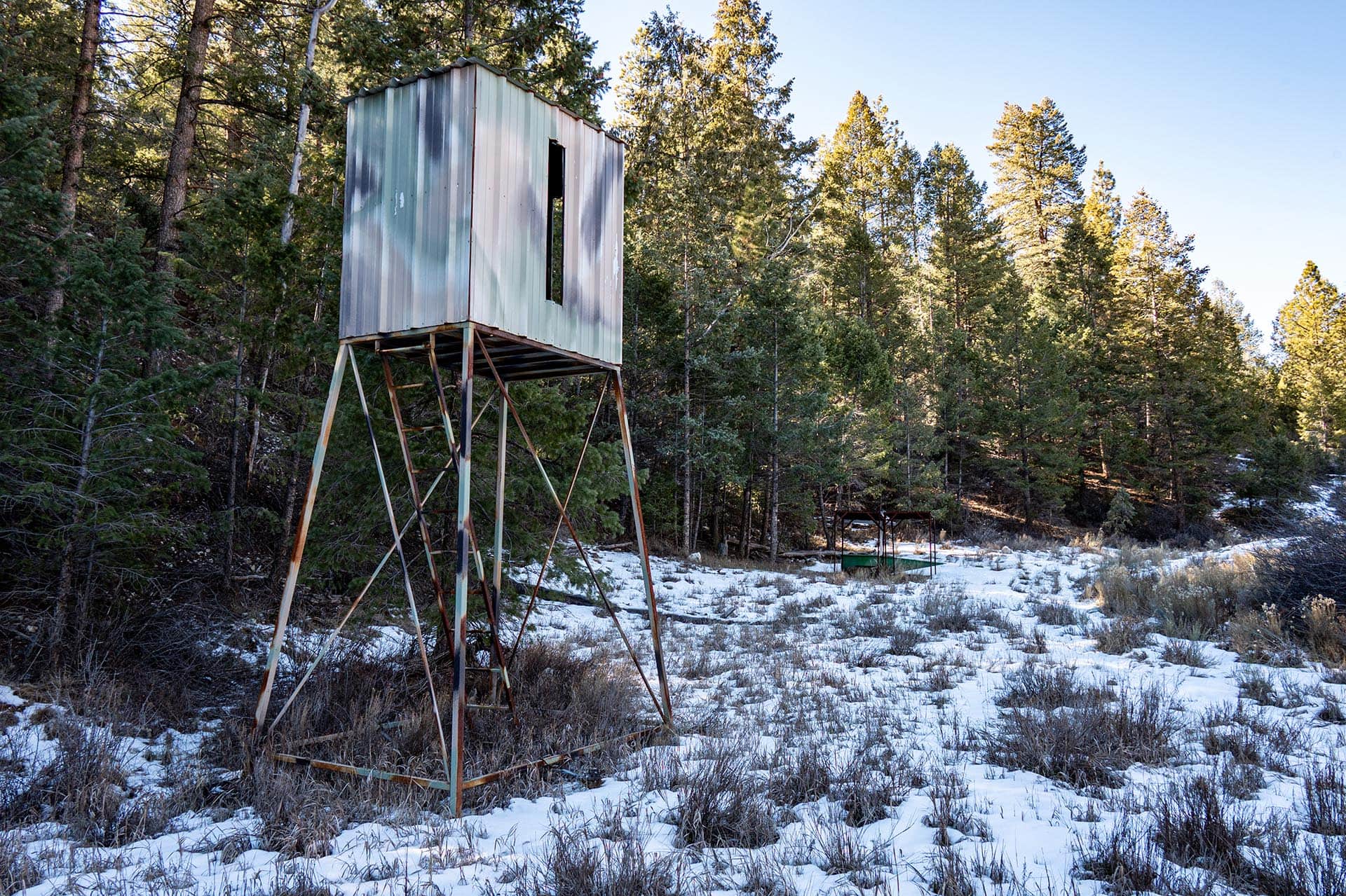 elevated blind in timber utah mammoth ridge muleys
