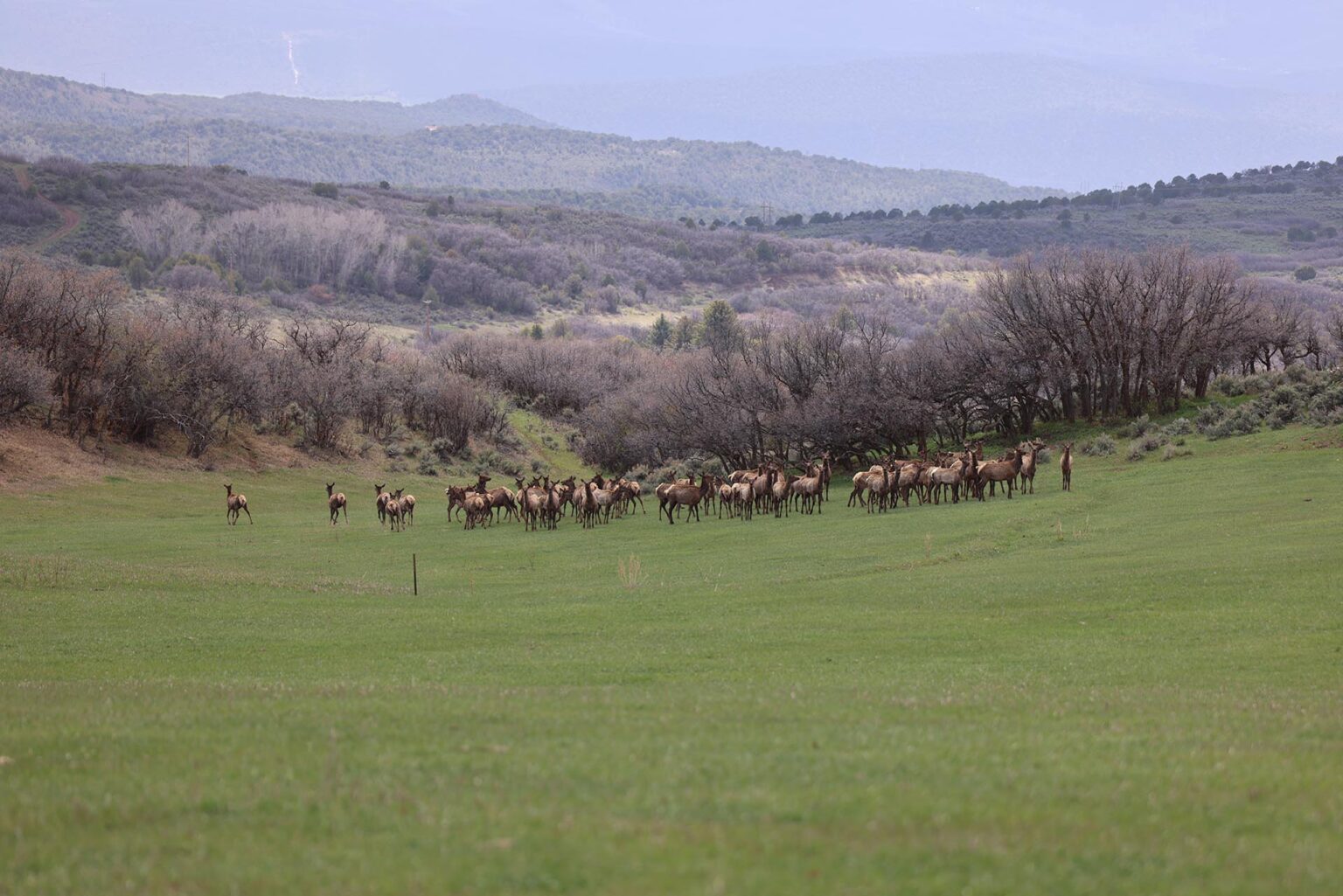 Roaring Fork Valley Ranch | Carbondale Colorado | Fay Ranches