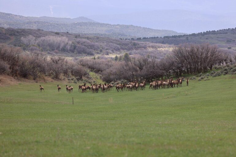 Roaring Fork Valley Ranch | Carbondale Colorado | Fay Ranches