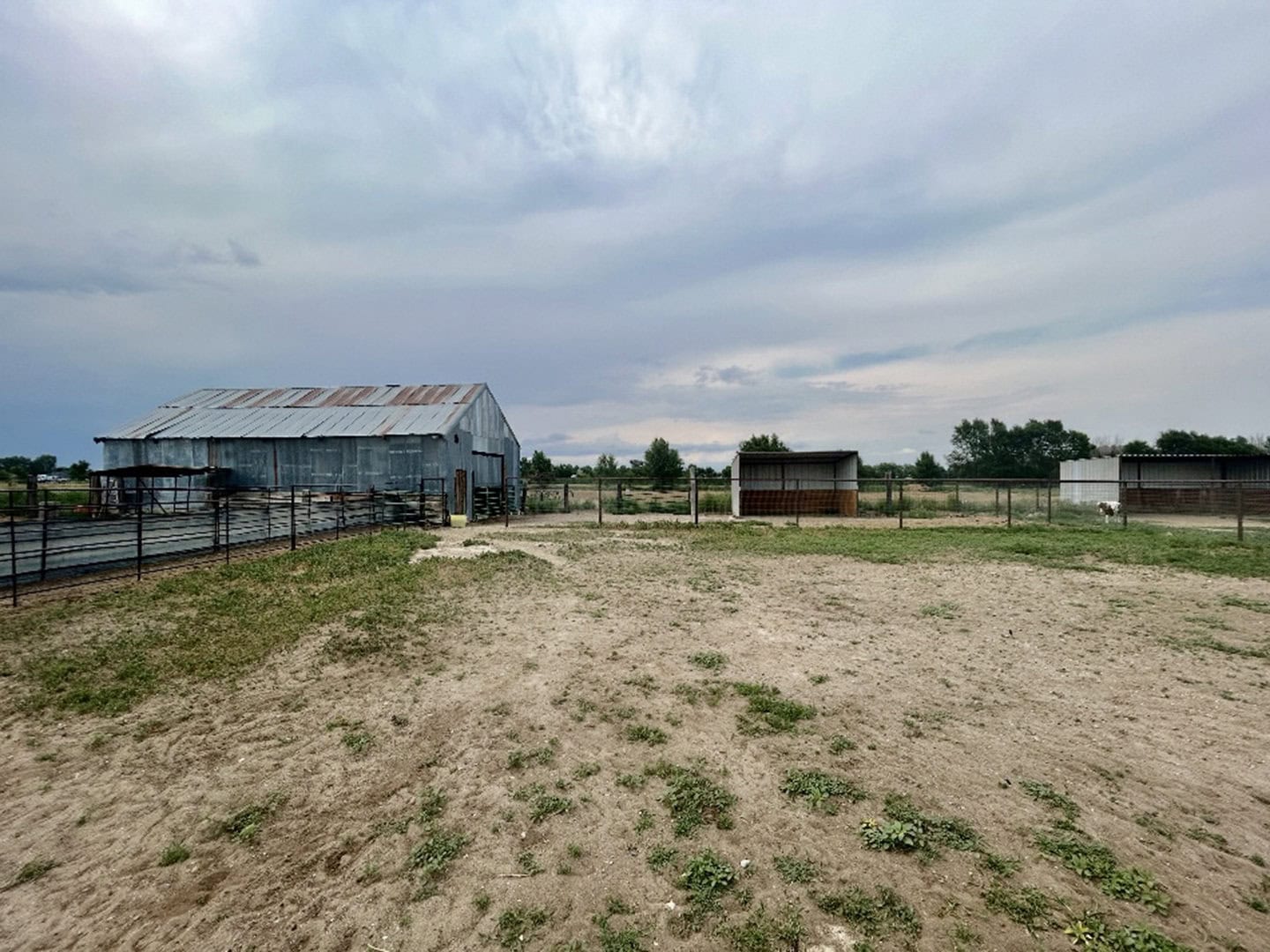 farm land colorado colletti farm