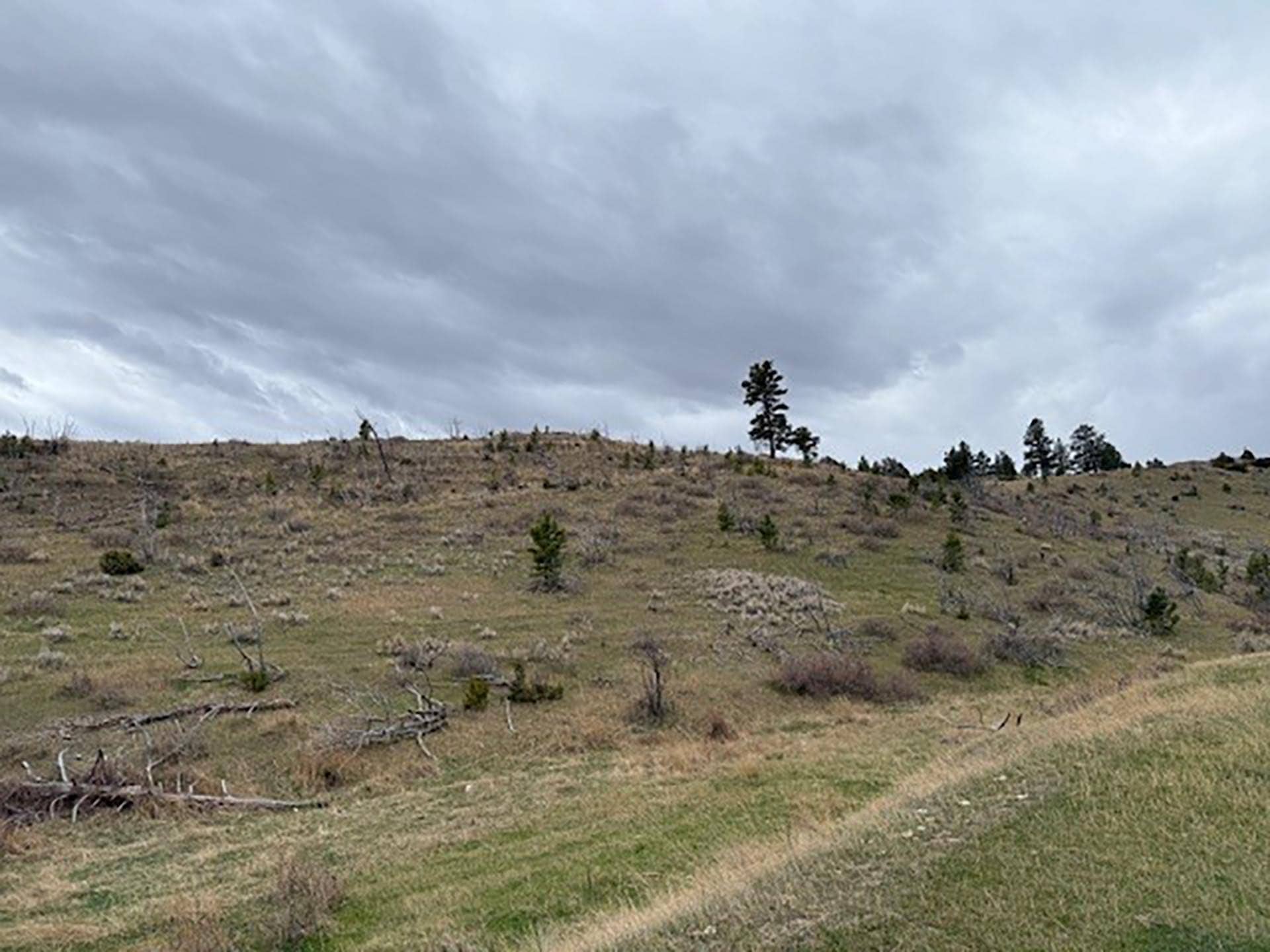 grazing ground Montana Brumfield Ridge Ranch