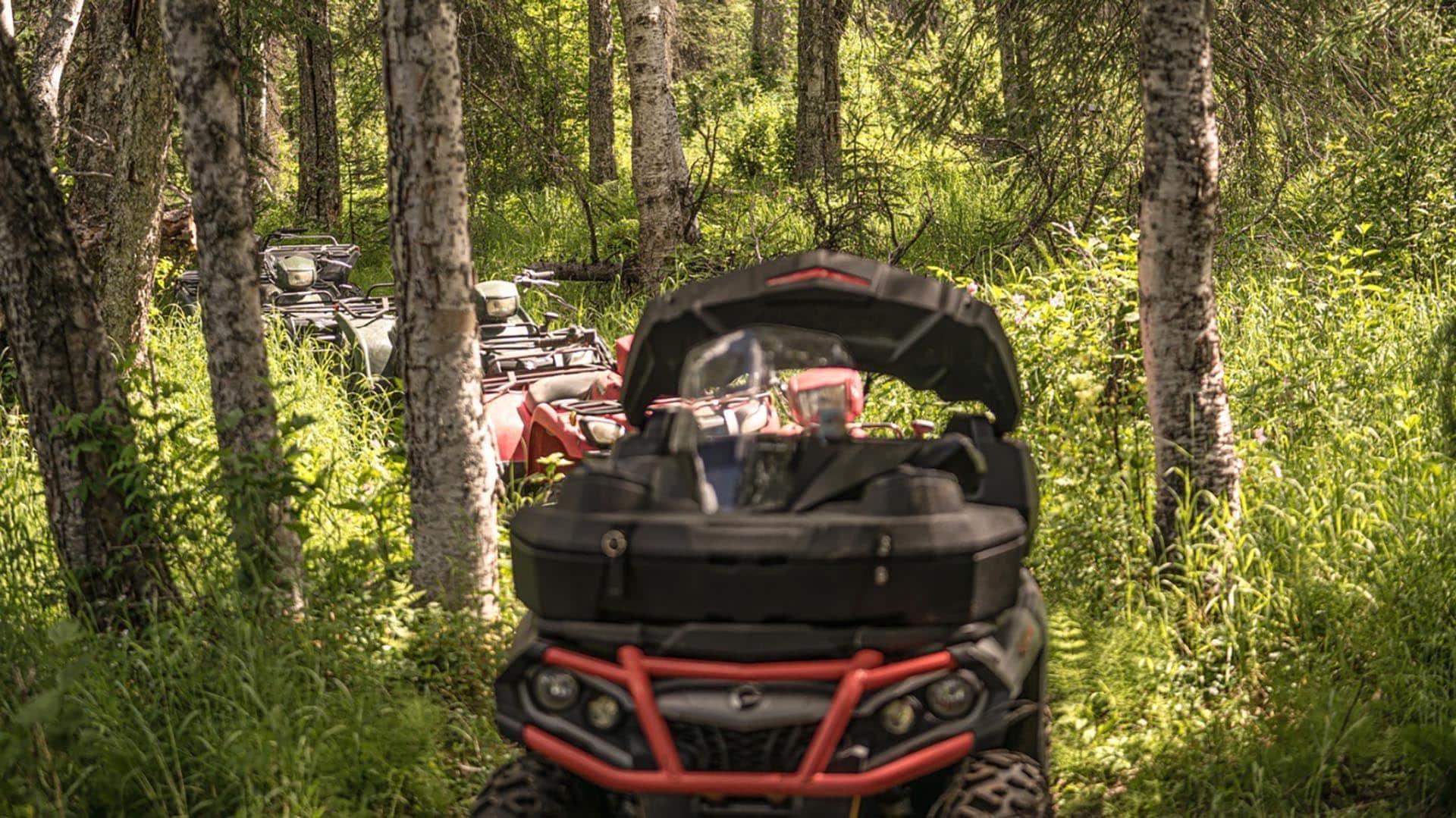 horizon alaska shulin lake resort