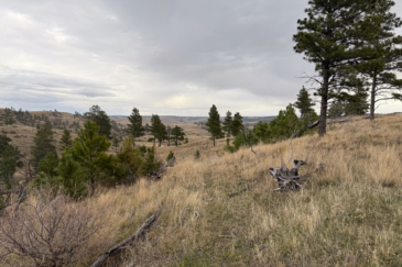 hunting land montana brumfield ridge ranch