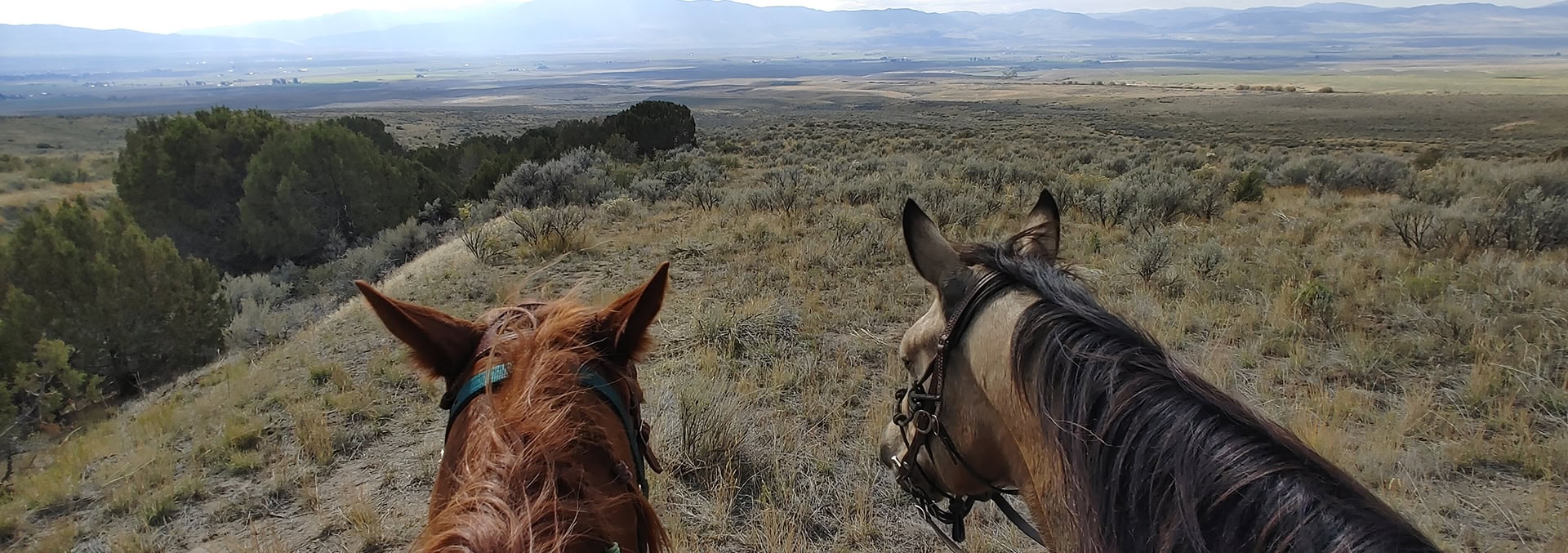 idaho land for sale Flying H Ranch