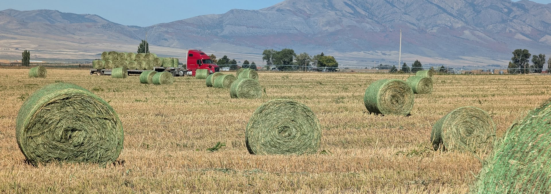 idaho property for sale Flying H Ranch