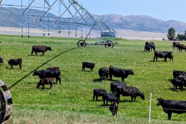 idaho ranches for sale Flying H Ranch