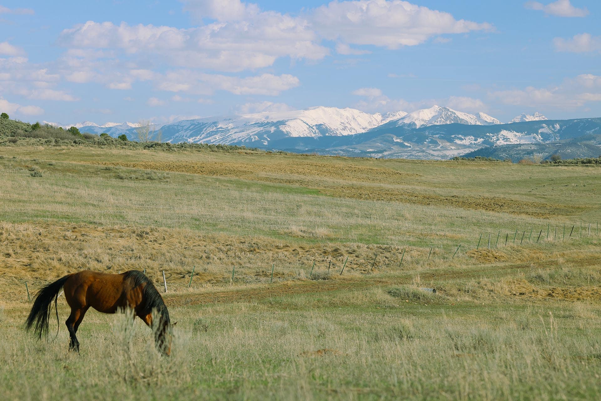 lone horse colorado roaring fork valley ranch