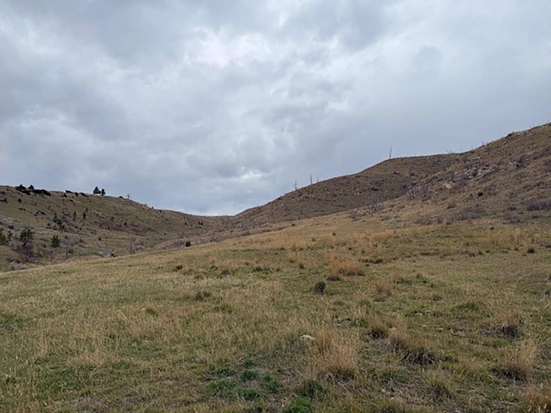 looking up to brumfield Montana Brumfield Ridge Ranch