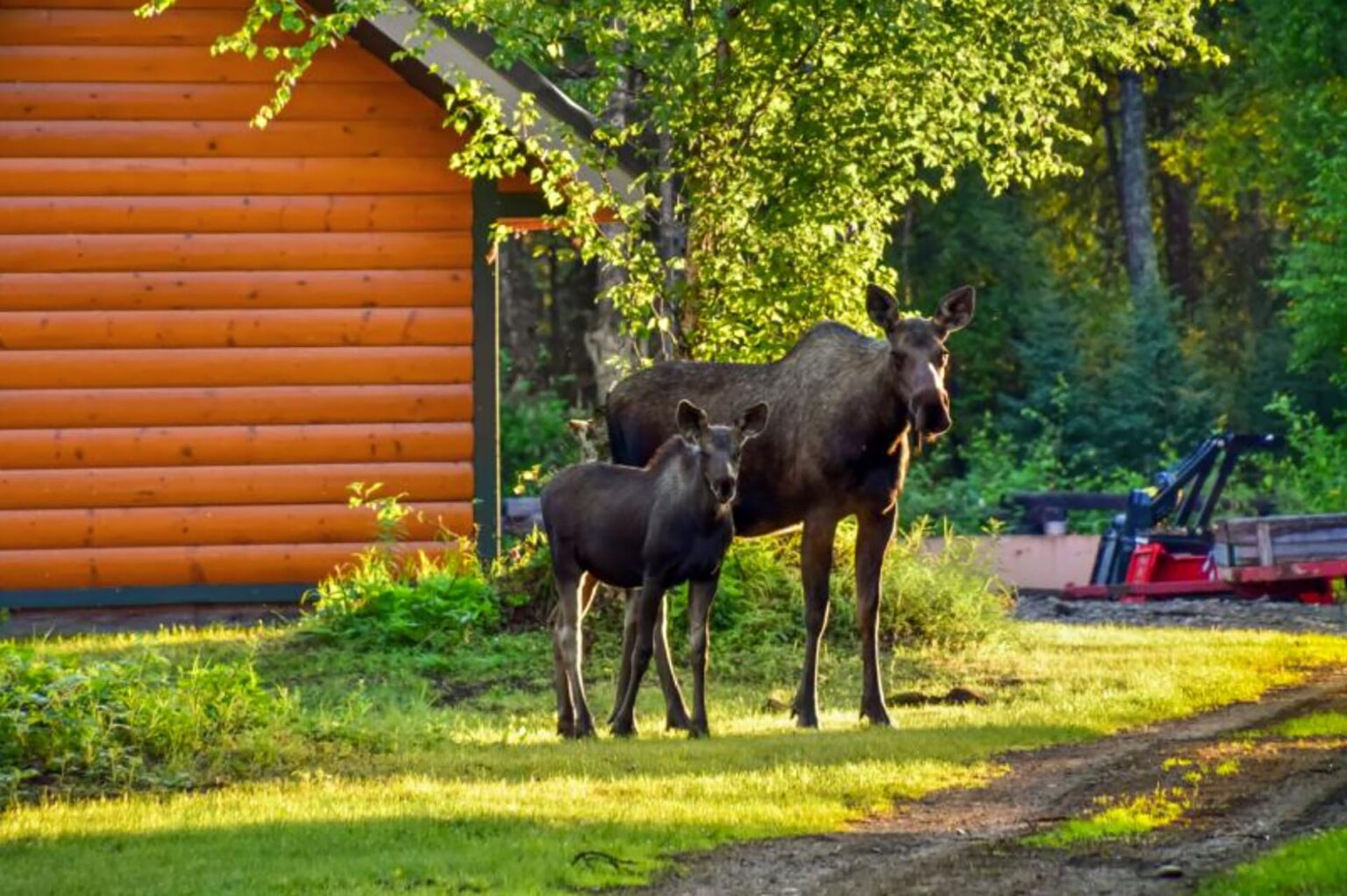 Shulin Lake Resort | Trapper Creek Alaska | Fay Ranches