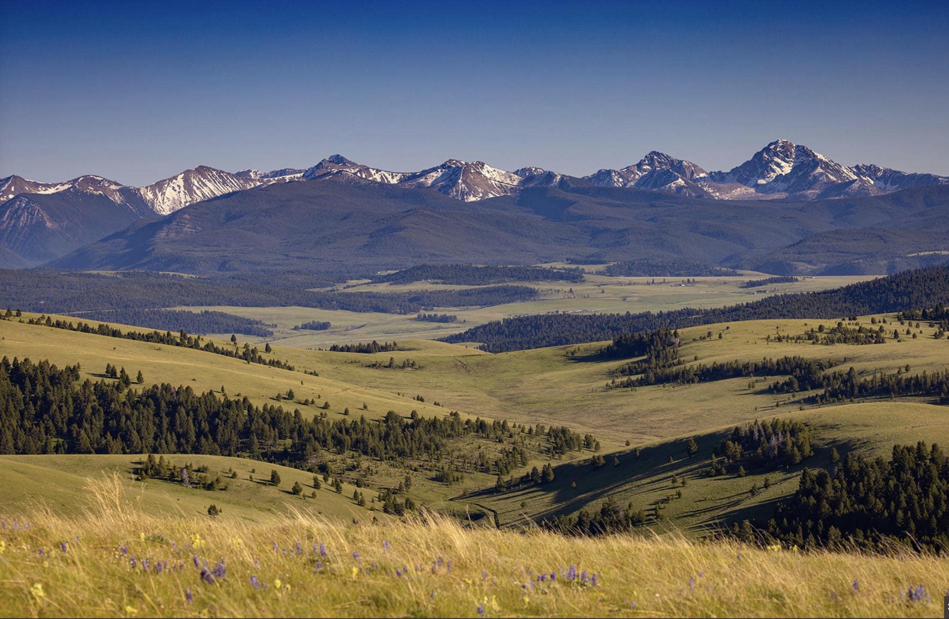 mountain and valley view montana rocking chair ranch