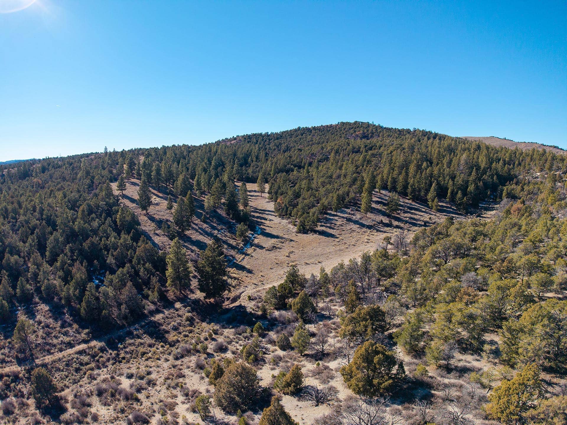 mountain ridge hunting land utah mammoth ridge muleys