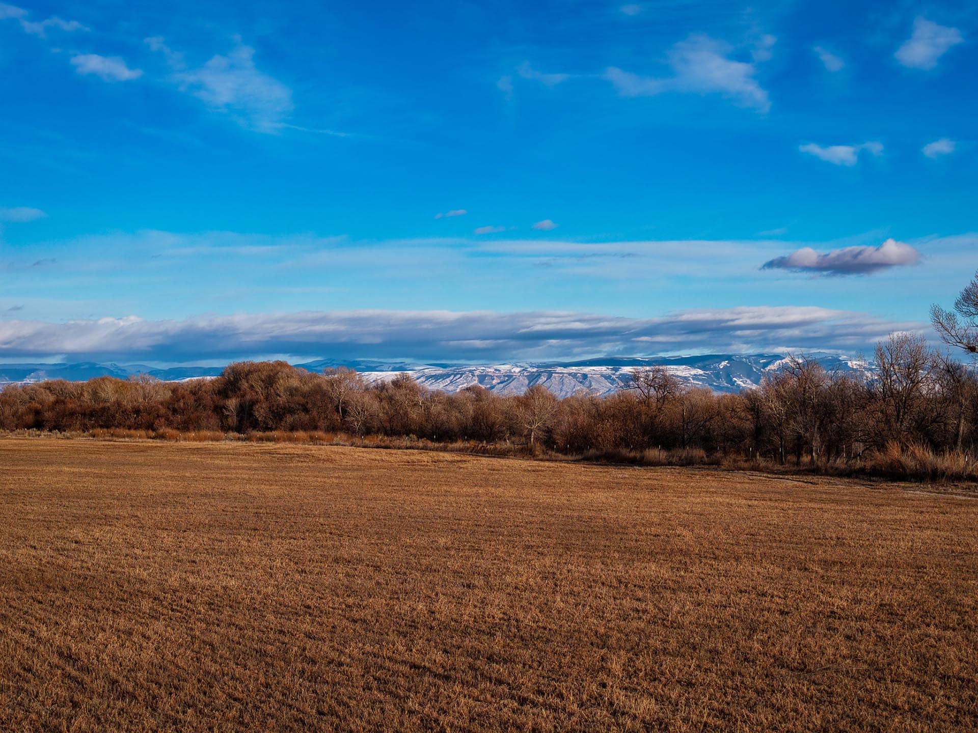 mountains wyoming shoshone valley versatility land