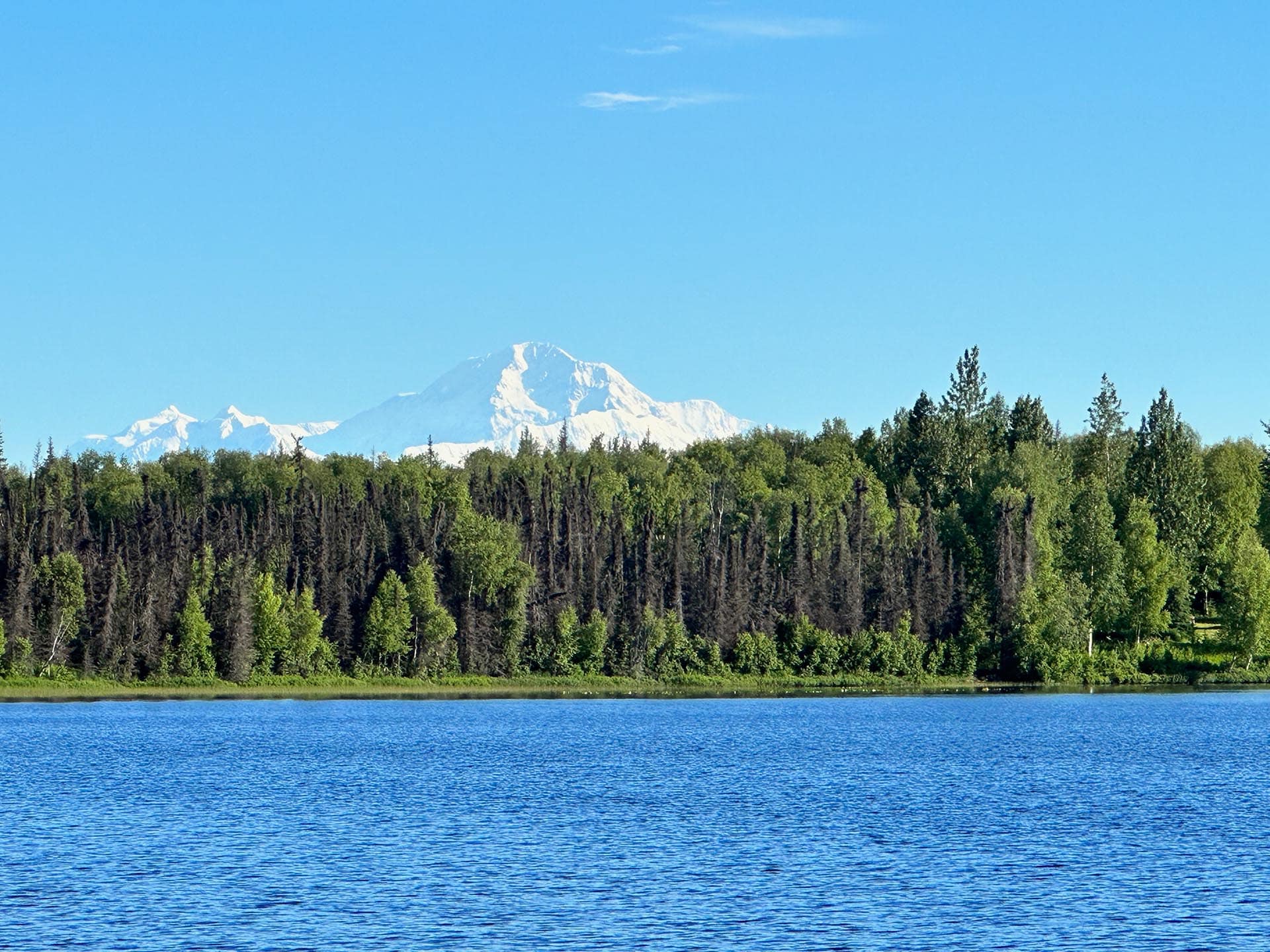 mt mckinley alaska shulin lake resort