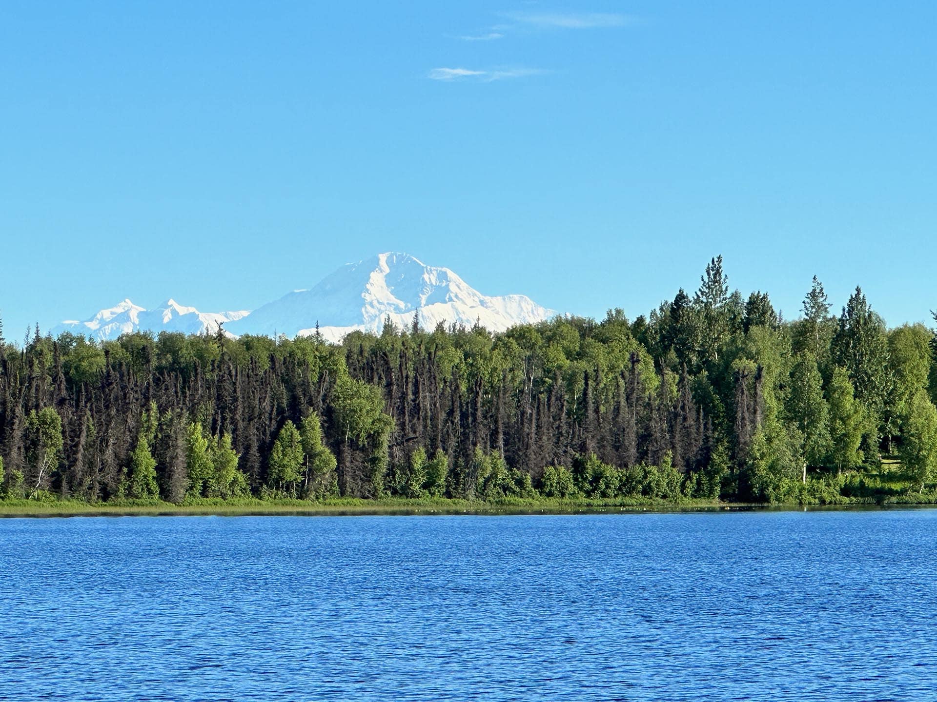 Snow-capped mountains rise behind a dense forest along a calm blue lake under a clear sky.