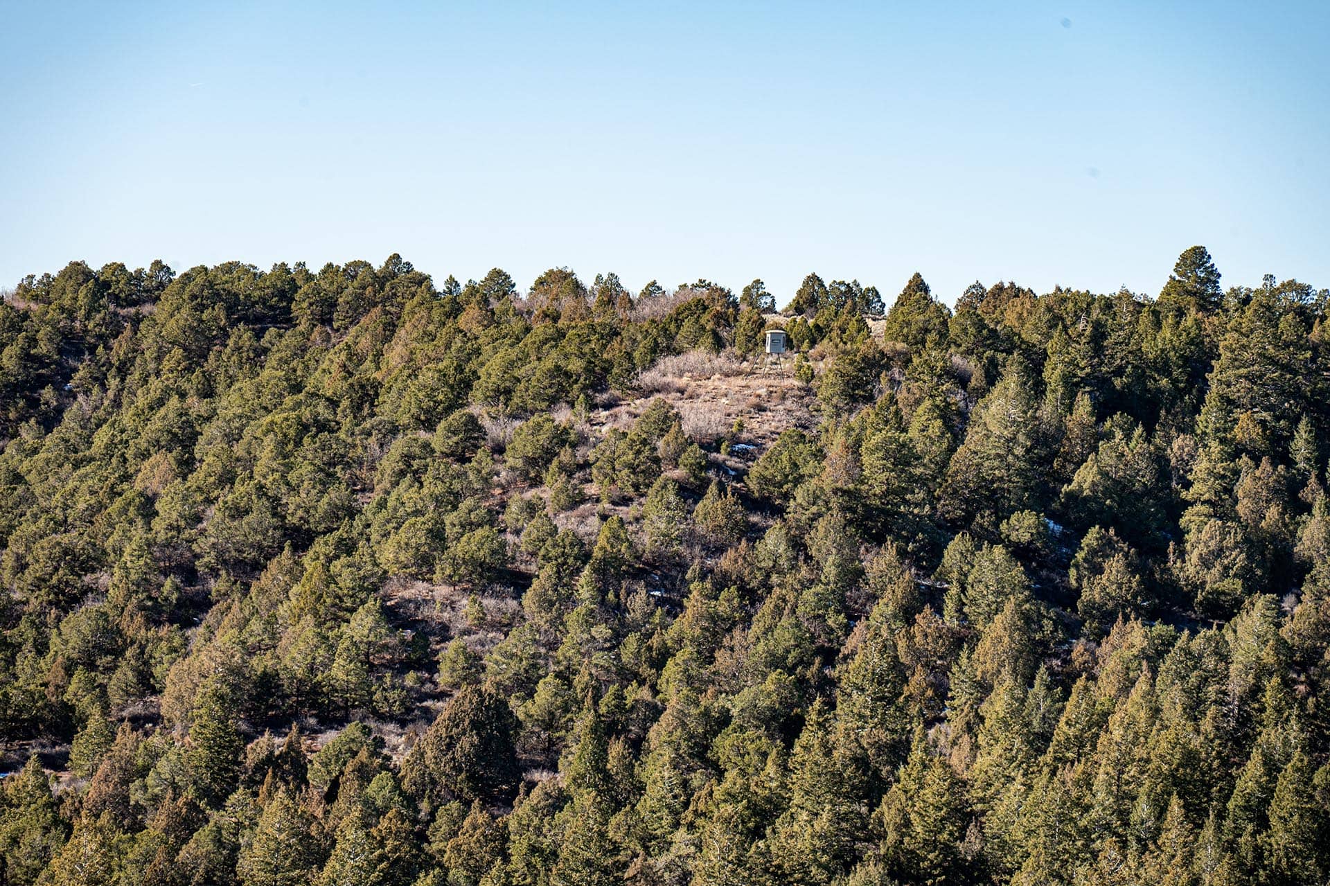 muzzleloader mule deer property utah mammoth ridge muleys
